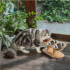 Essentials - Elevated Cat Bowls with 3 Stainless Steel Bowls 15° Tilted Stand