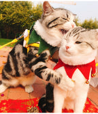 Two tabby cats wearing the red Christmas scarf