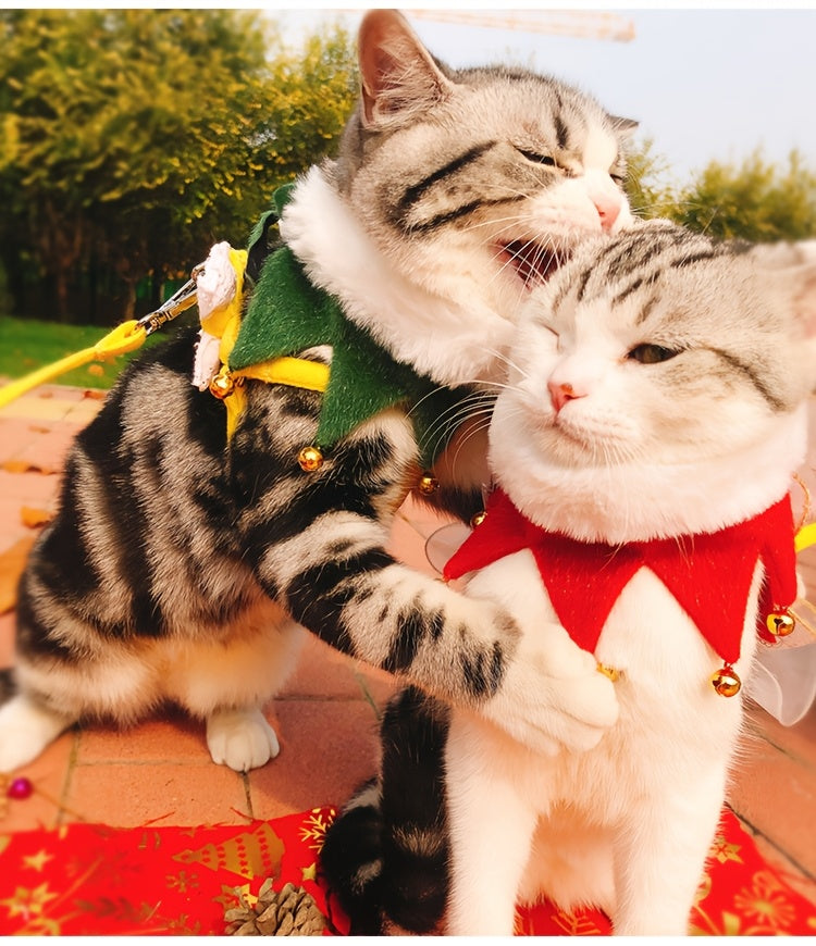 Two tabby cats wearing the red Christmas scarf