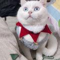 White cat with blue eyes wearing the Christmas scarf