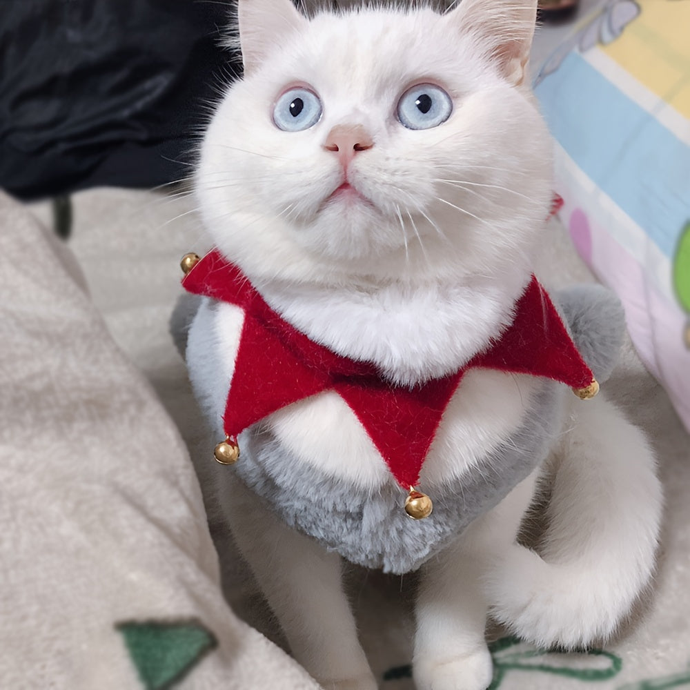 White cat with blue eyes wearing the Christmas scarf