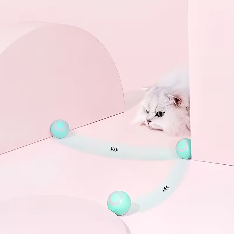 Cat chasing the ball