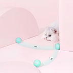 Cat chasing the ball