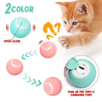 Two color option with on and off switch