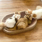 Cat Bed - Jute Cat Scratching Post with Integrated Toy Ball