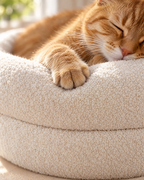 Close-up of a ginger cat's paw on the teddy fleece rim of the Happy Cat Nest bed